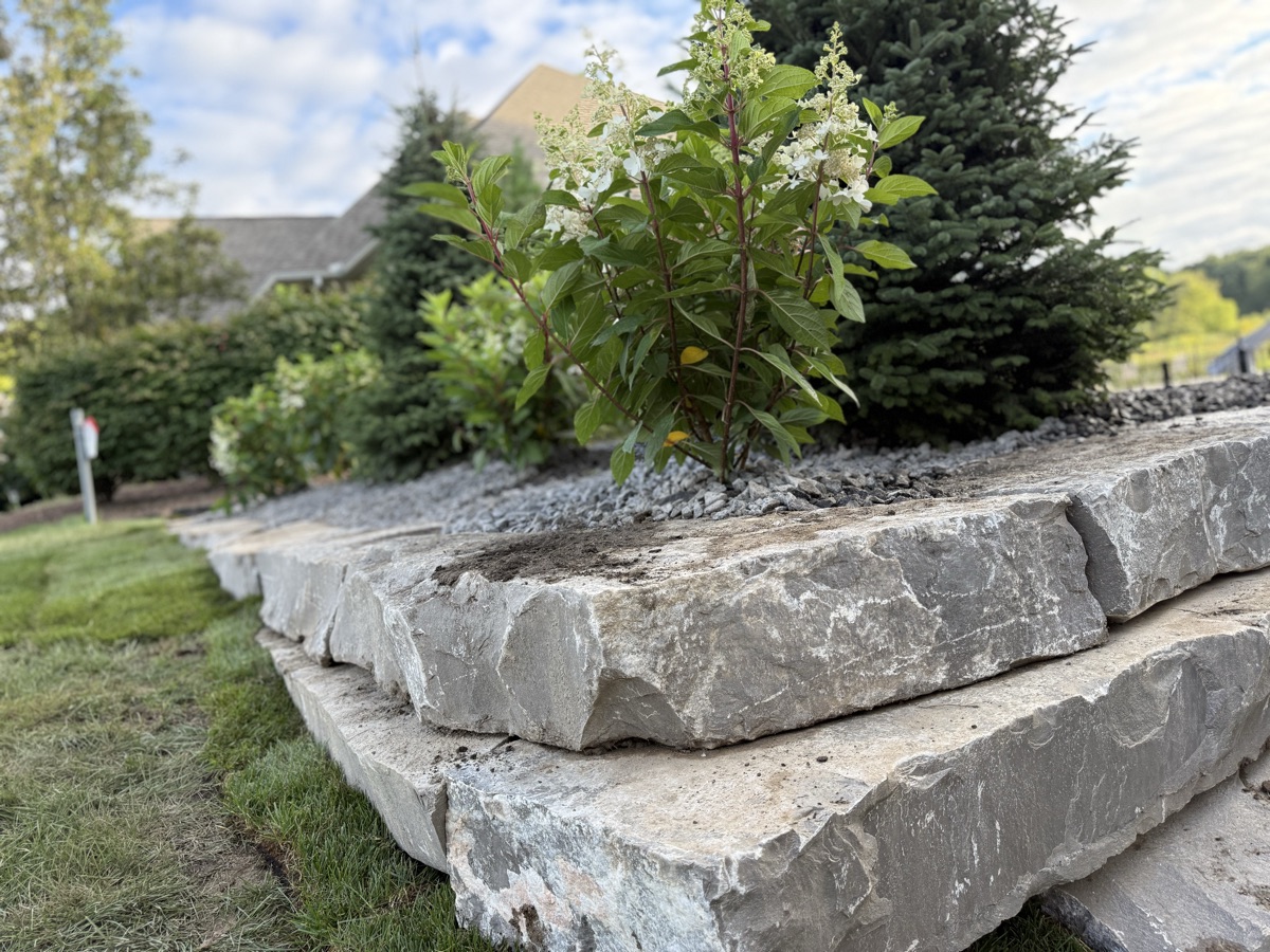 Landscape design and install